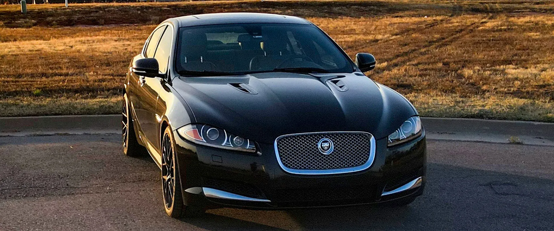 Jaguar